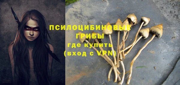альфа пвп Заводоуковск