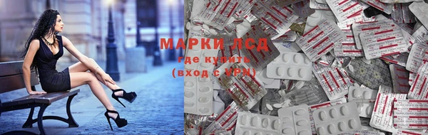 a pvp Заволжск