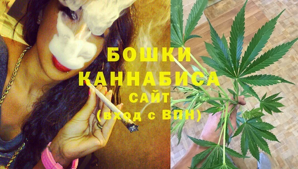 альфа пвп Заводоуковск